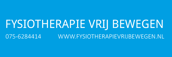 fysiotherapie vrij bewegen