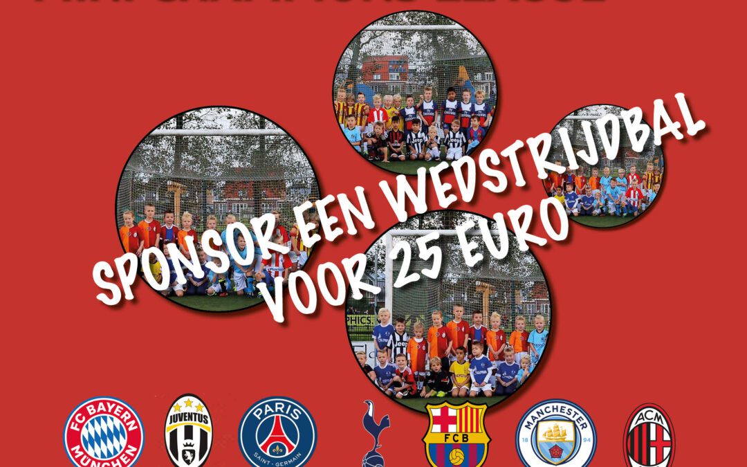 De mini’s zoeken wedstrijdbalsponsors!